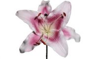 Extra Large White & Pink Lily